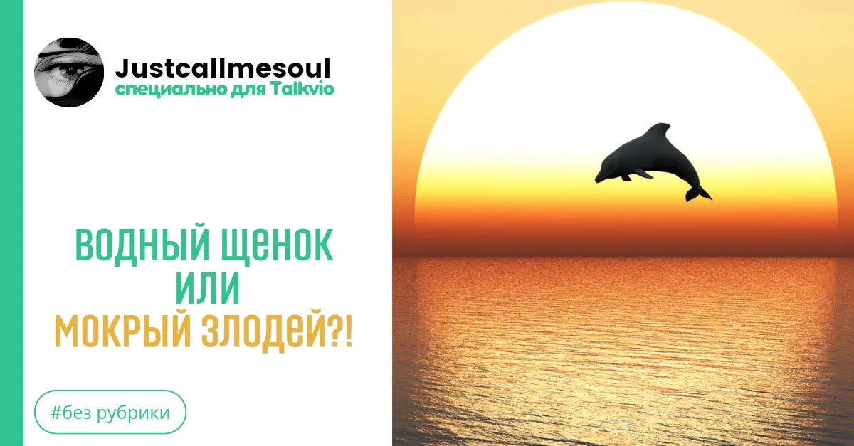 Водный щенок или мокрый злодей?  #2