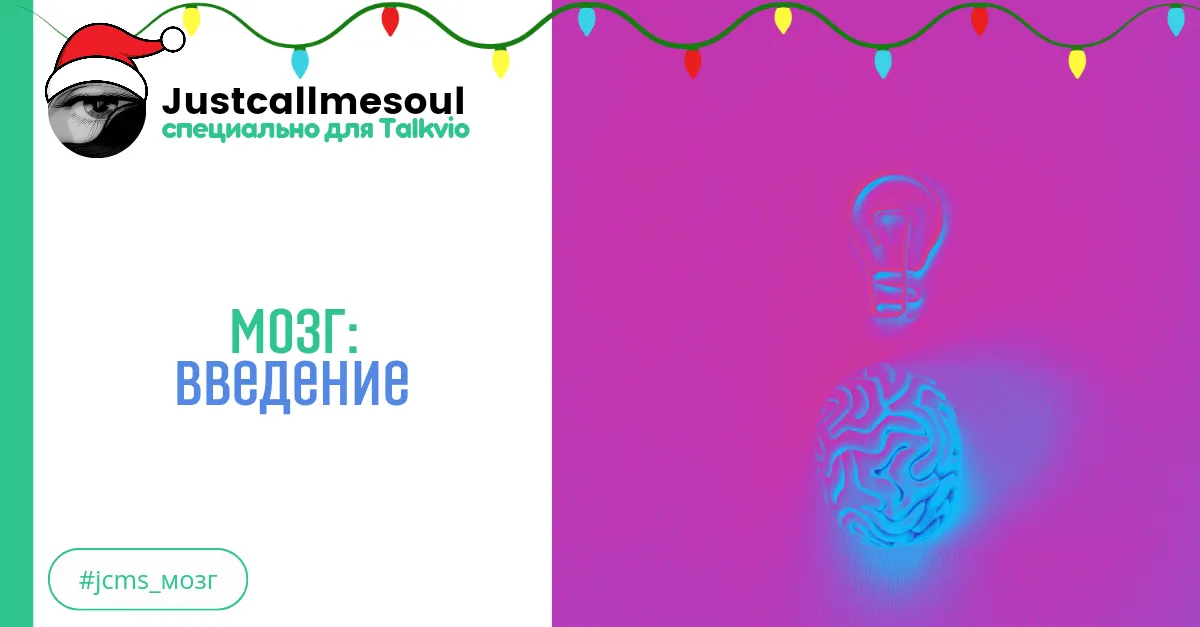 Мозг: Введение. #2