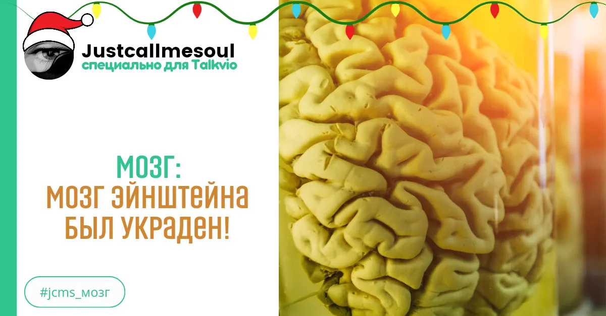 Мозг: Мозг Эйнштейна был украден! #2