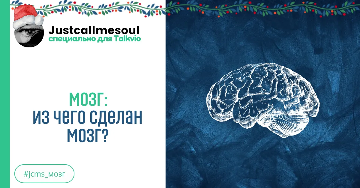 Мозг: Из чего сделан мозг? #2