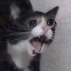 Тебе не понравится: Glass Animals - The other side of paradise. #1