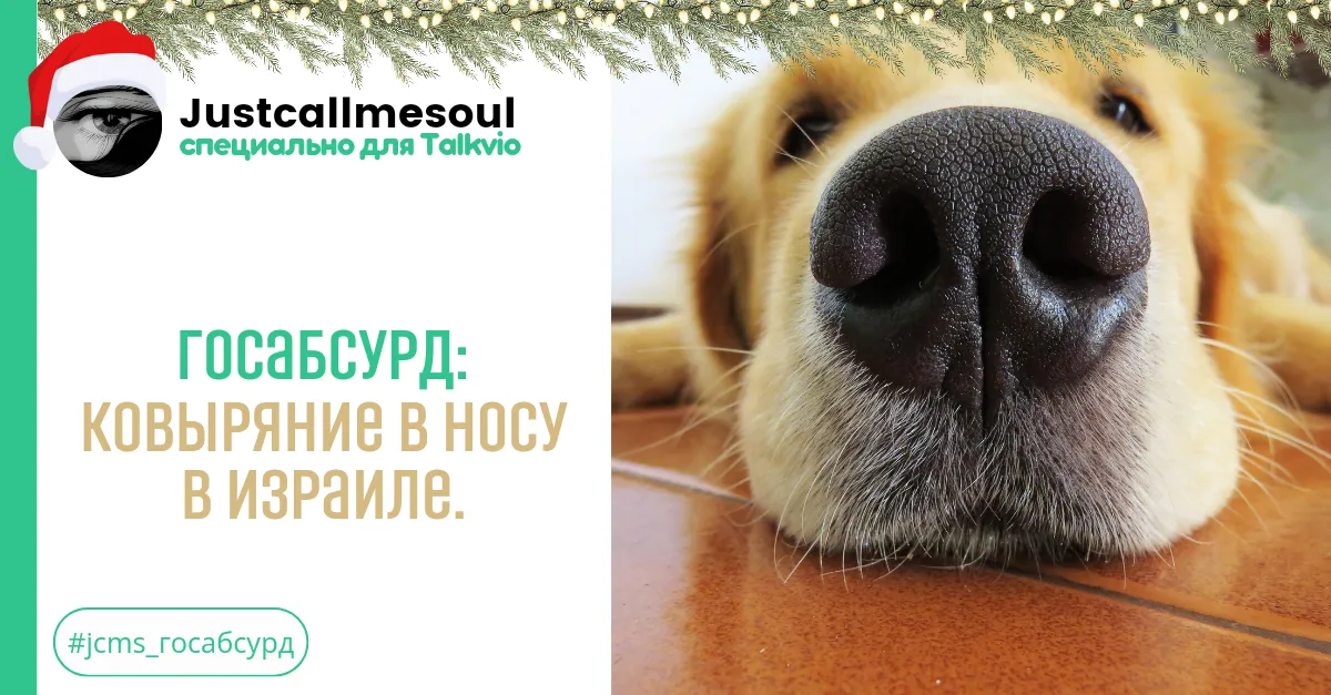 Госабсурд: Ковыряние в носу в Израиле. #2