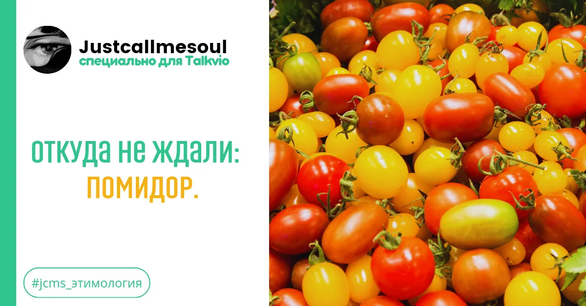Откуда не ждали: Помидор. #2