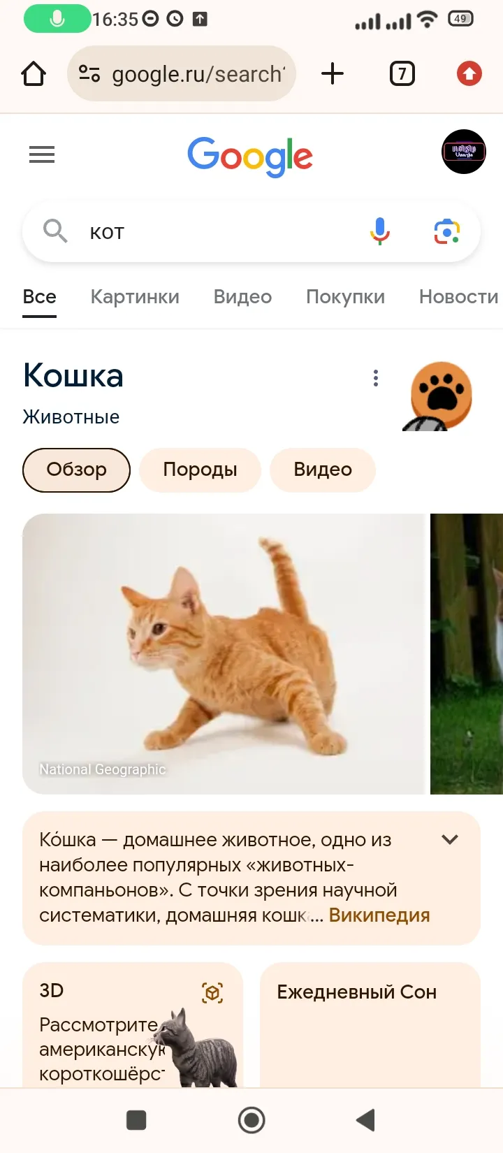 Фишки!: Прикол для кошатников! :D #2