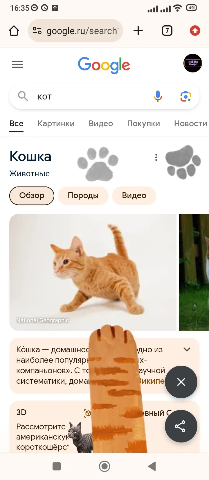 Фишки!: Прикол для кошатников! :D #3