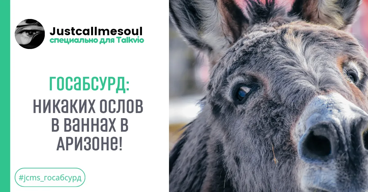 Госабсурд!: Никаких ослов в ваннах в Аризоне! #2