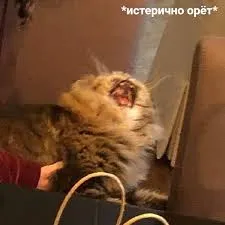 Тебе не понравится!: Nomy - Cocaine #1