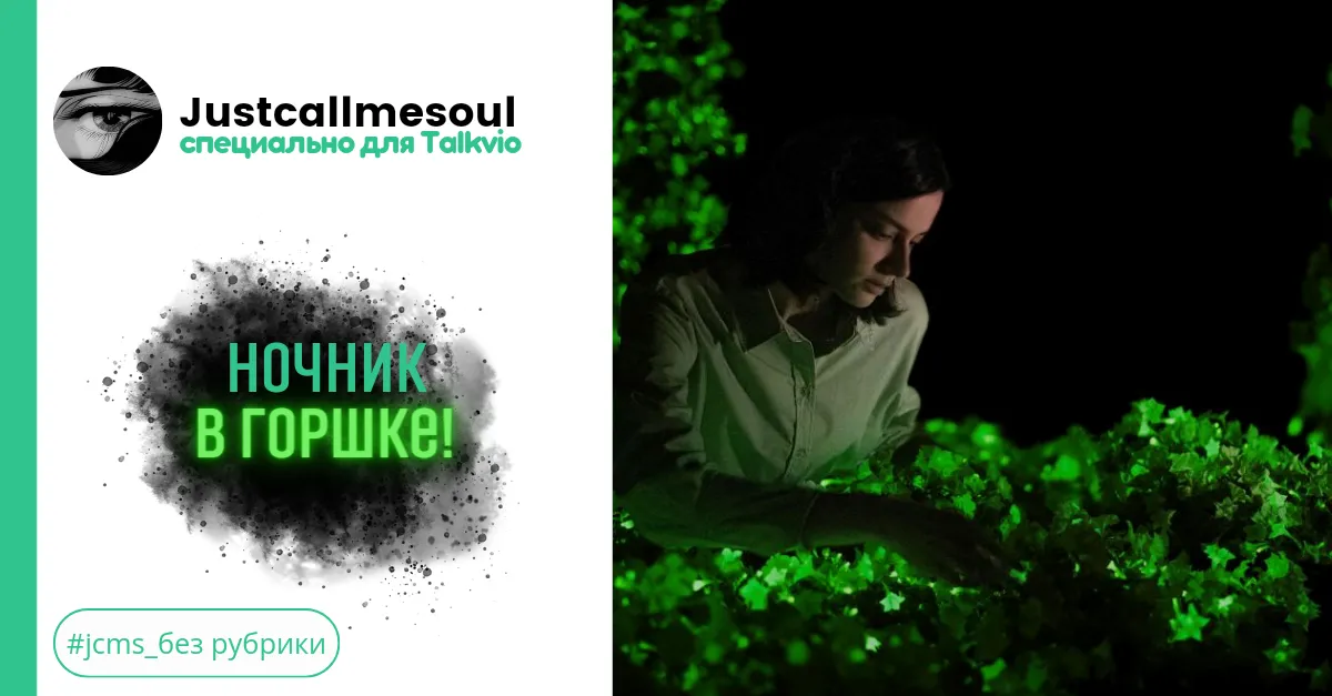 Ночник в горшке! #2