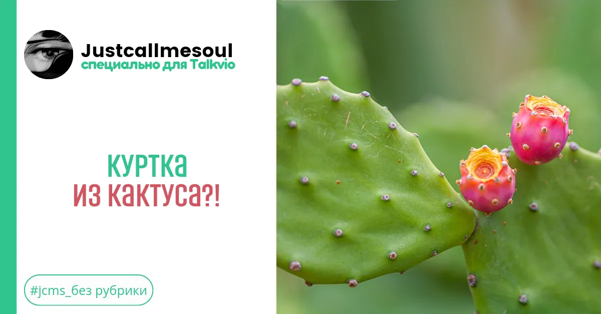 Куртка из кактуса?! #2