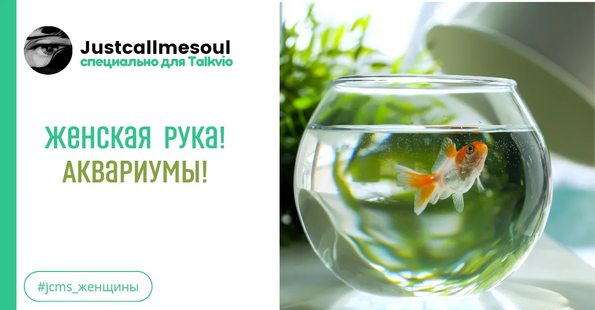 Женская рука! Аквариумы! #2