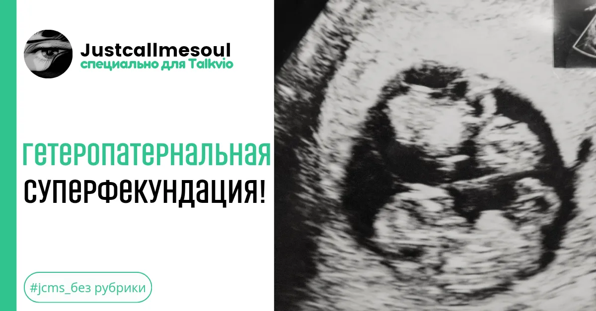 Гетеропатернальная суперфекундация! #2