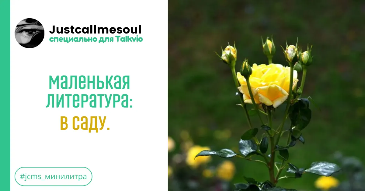 Маленькая Литература: В саду. #2