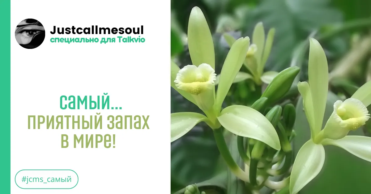 Самый приятный запах в мире! #2