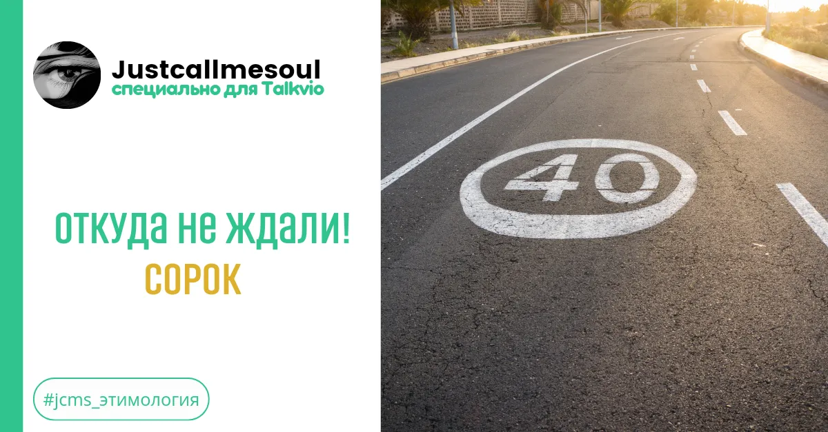 Откуда не ждали! Сорок #2