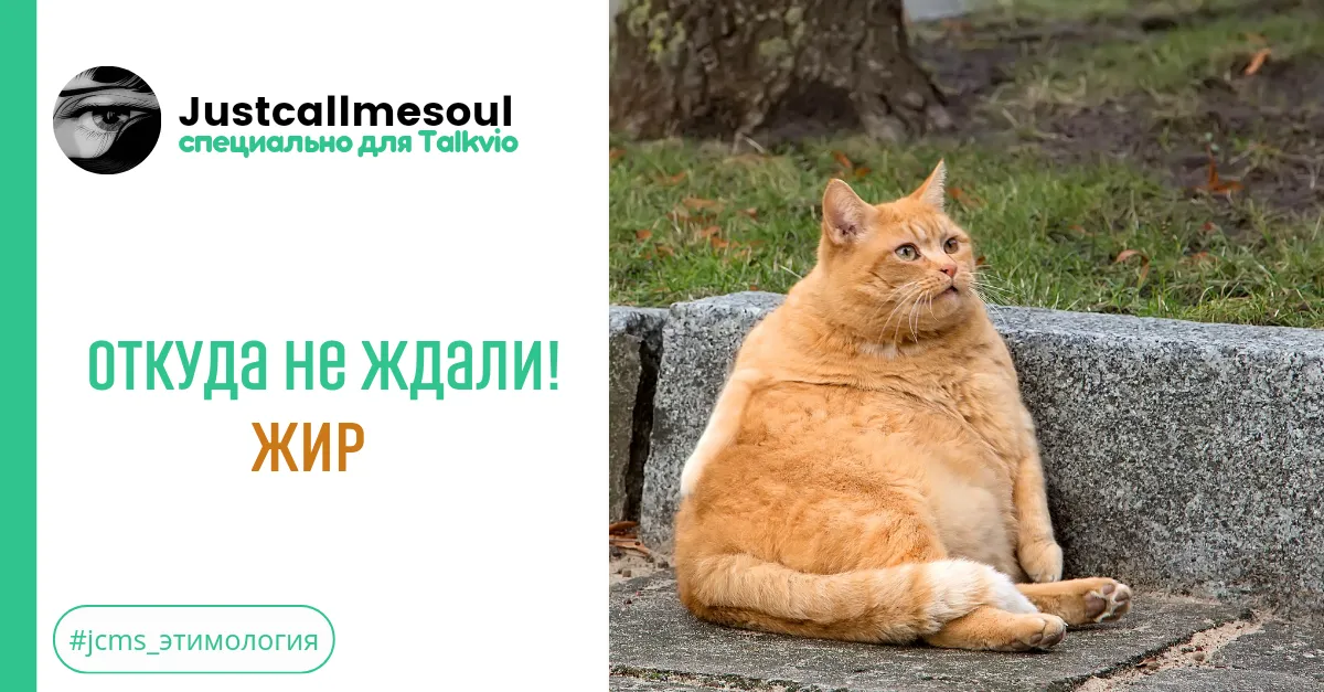 Откуда не ждали! Жир. #2