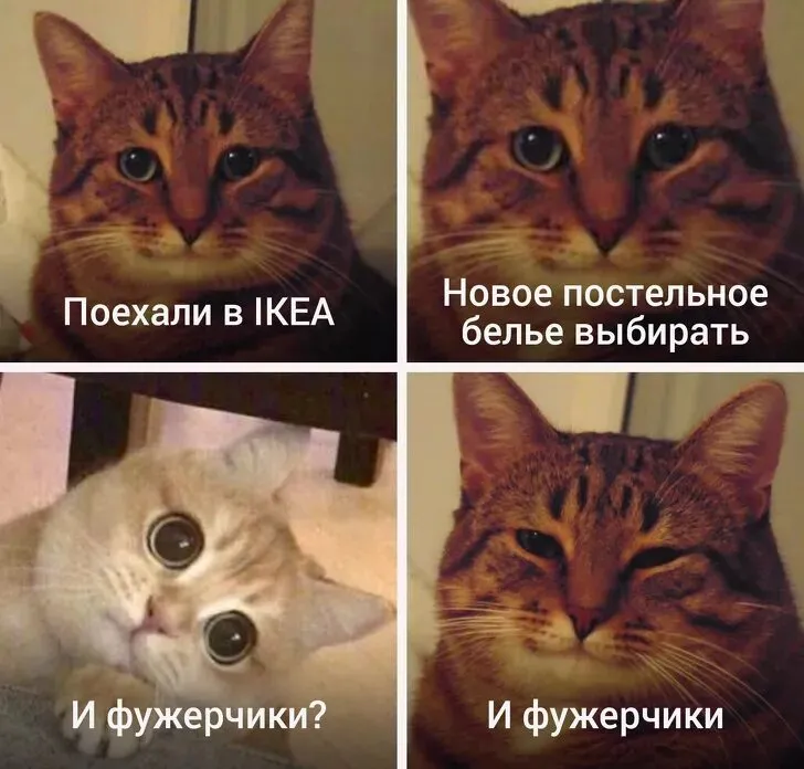Котовикинги! :D #2