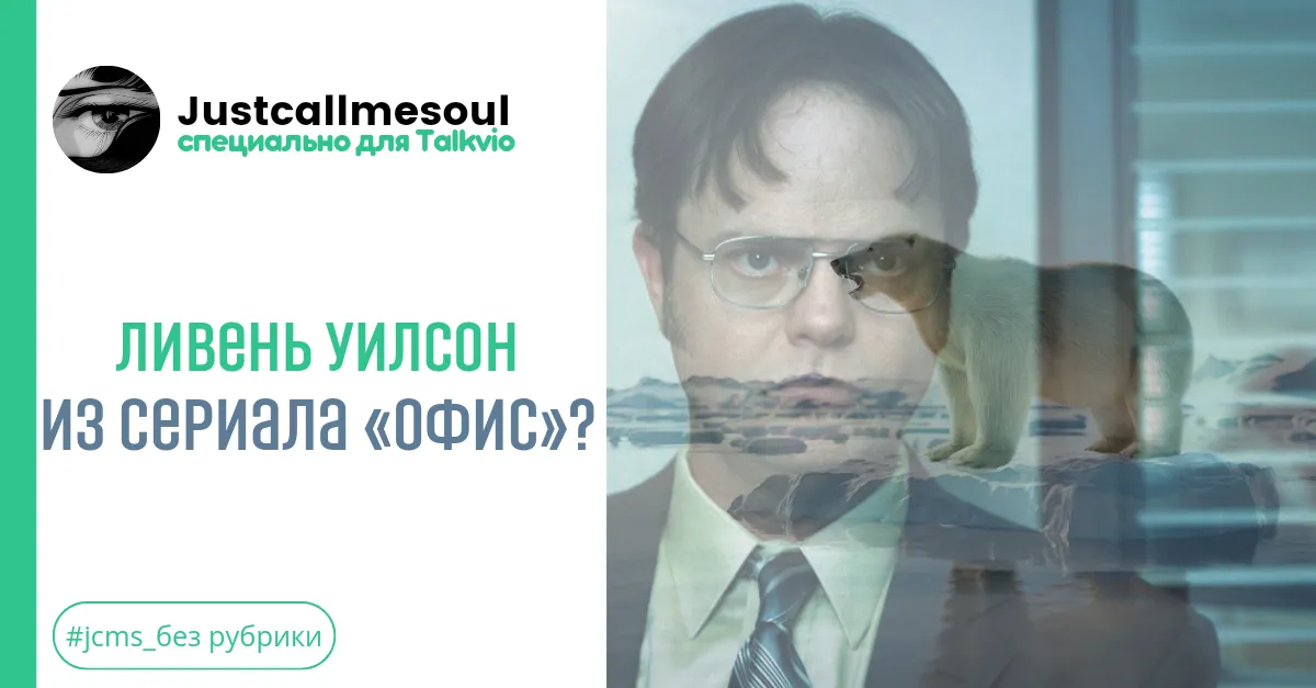 Ливень Уилсон из сериала «Офис»? #2