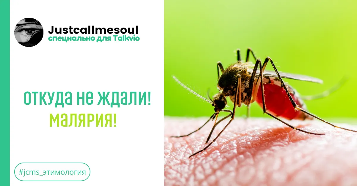 Откуда не ждали! Малярия! #2