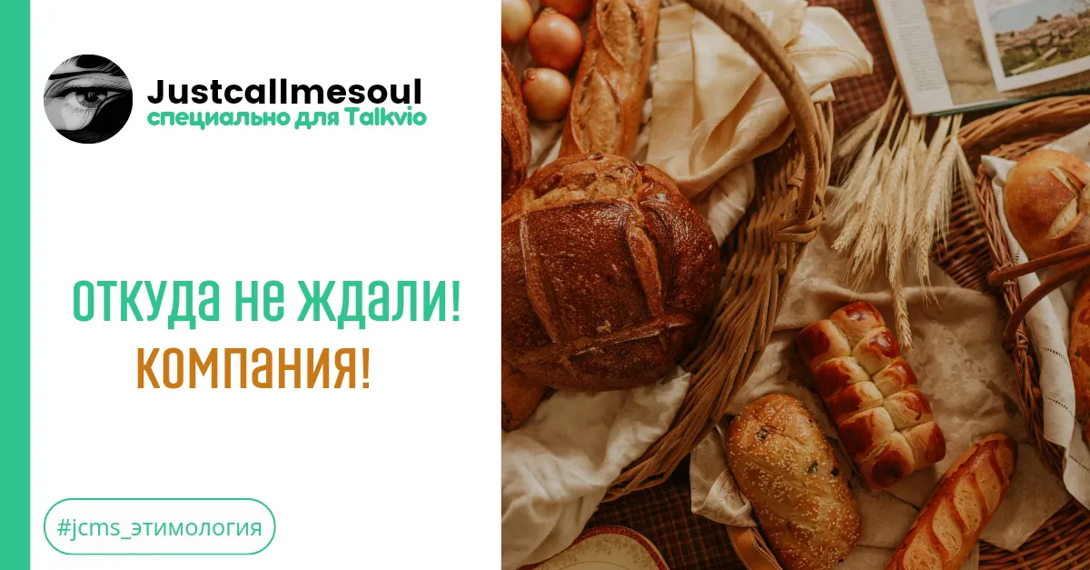 Откуда не ждали! Компания. #2