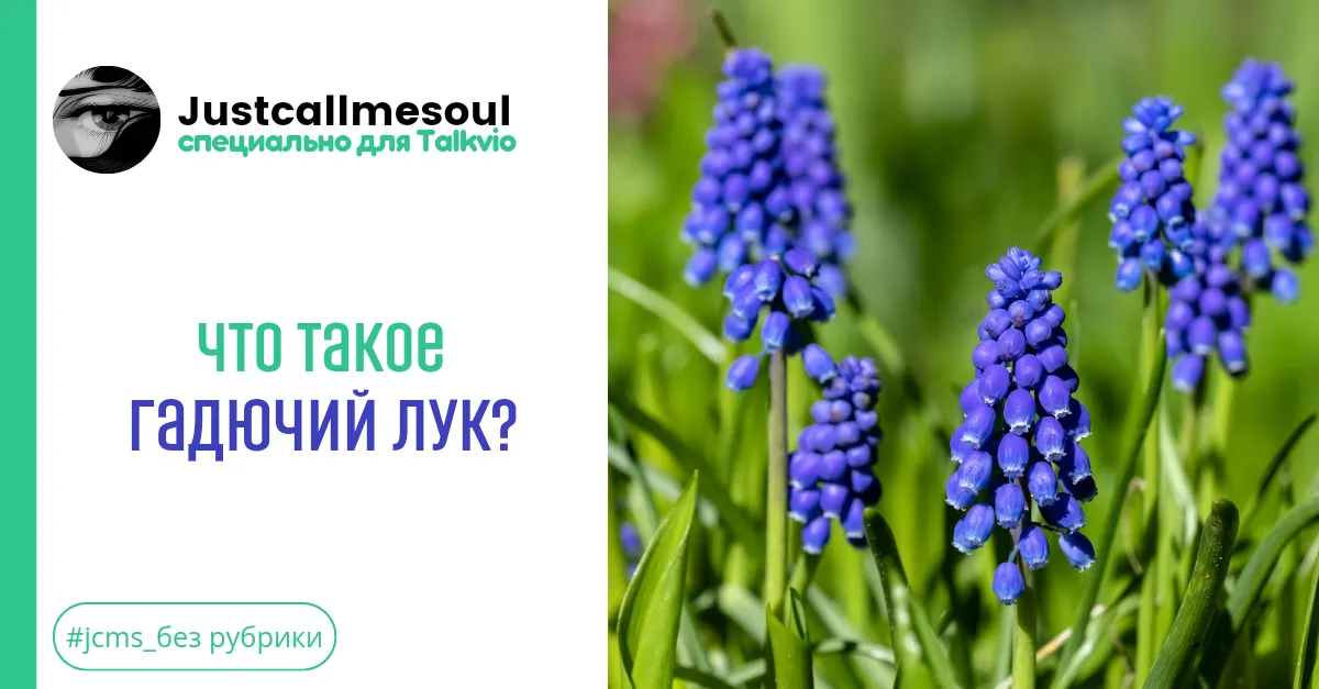 Что такое гадючий лук? #1