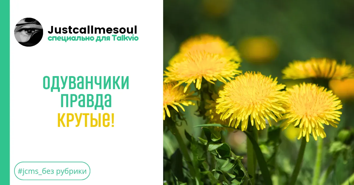 Одуванчики правда крутые! #1