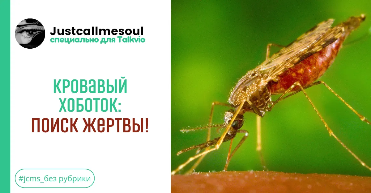 Кровавый хоботок: Поиск жертвы! #1