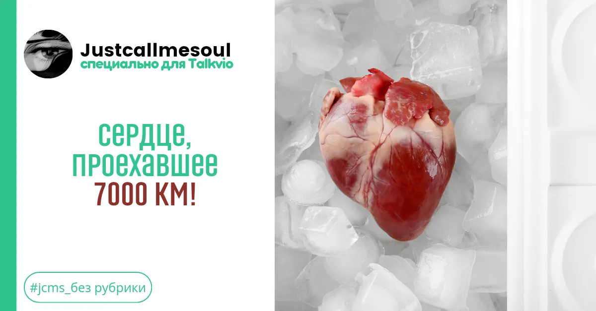 Сердце, проехавшее 7000км! #1