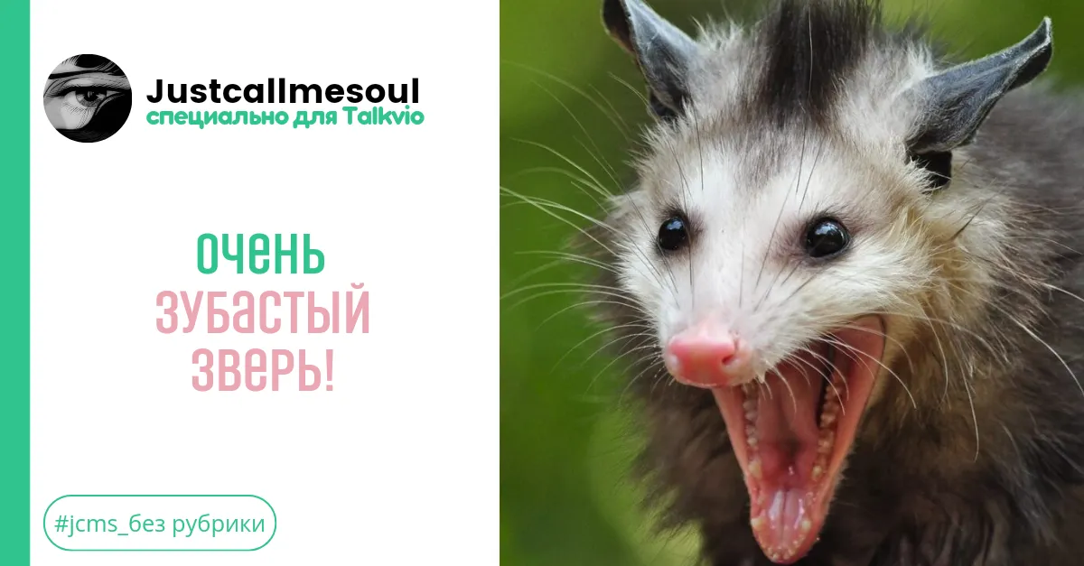 Очень зубастый зверь! #1