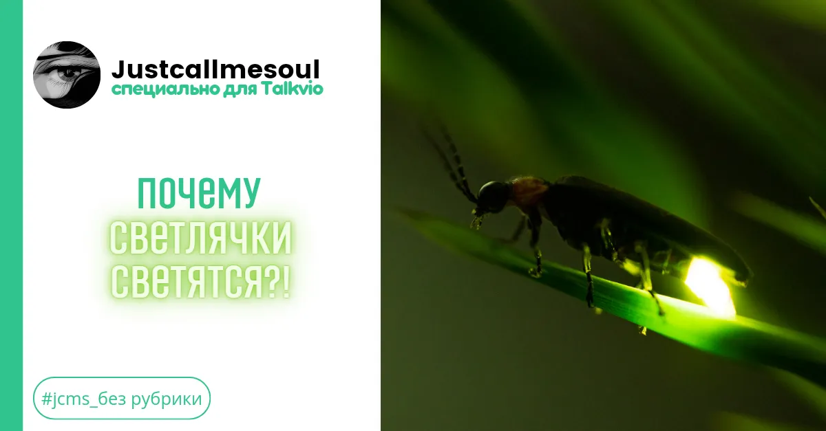 Почему светлячки светятся?! #1
