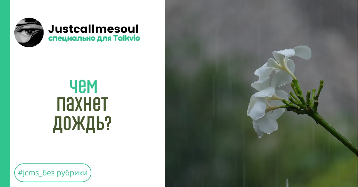 Чем пахнет дождь? #1