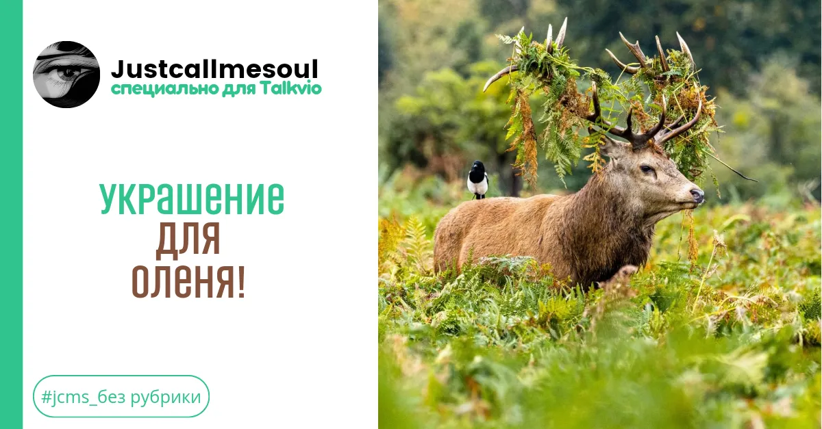 Украшение для Оленя? #1