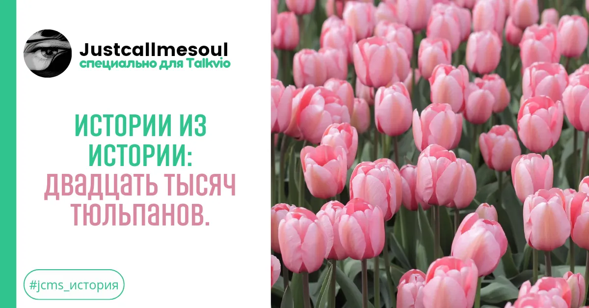 Истории из Истории: Двадцать тысяч тюльпанов . #1