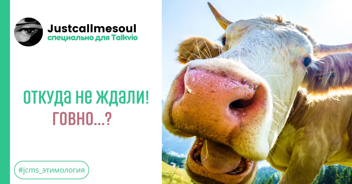 Откуда не ждали! Говно...? #1