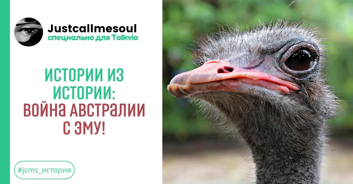 Истории из Истории: Война с Эму! #1