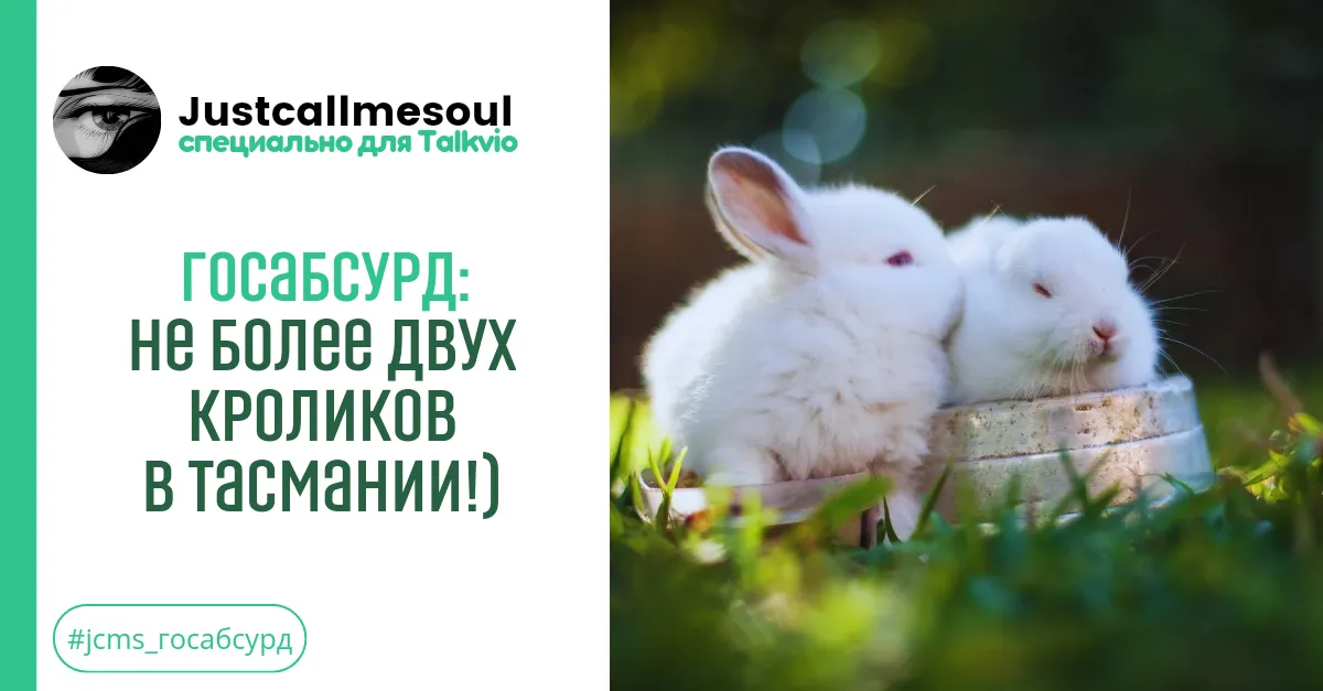 Госабсурд: Не более двух кроликов в Тасмании!) #1