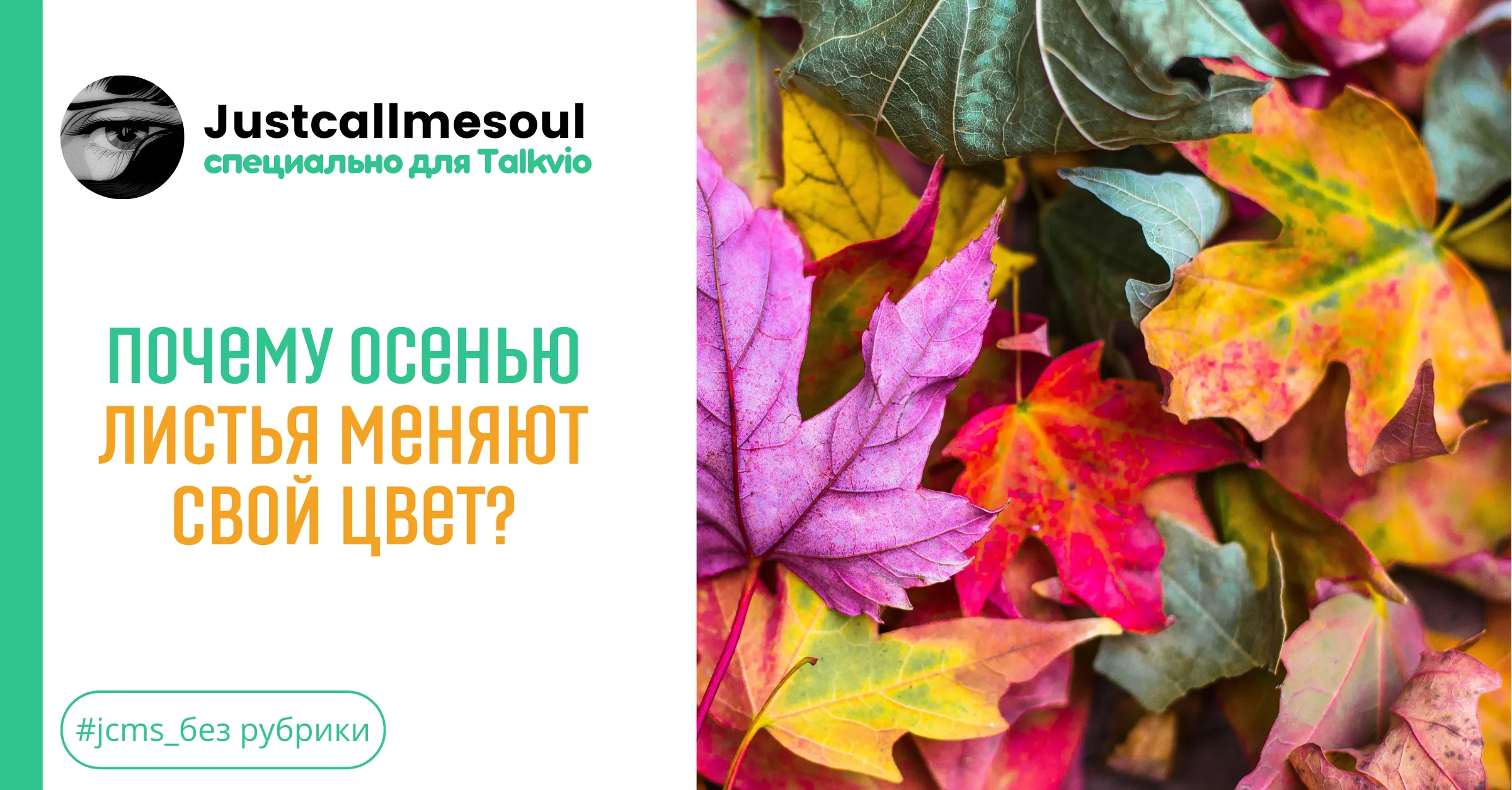 Почему осенью листья меняют свой цвет? #1