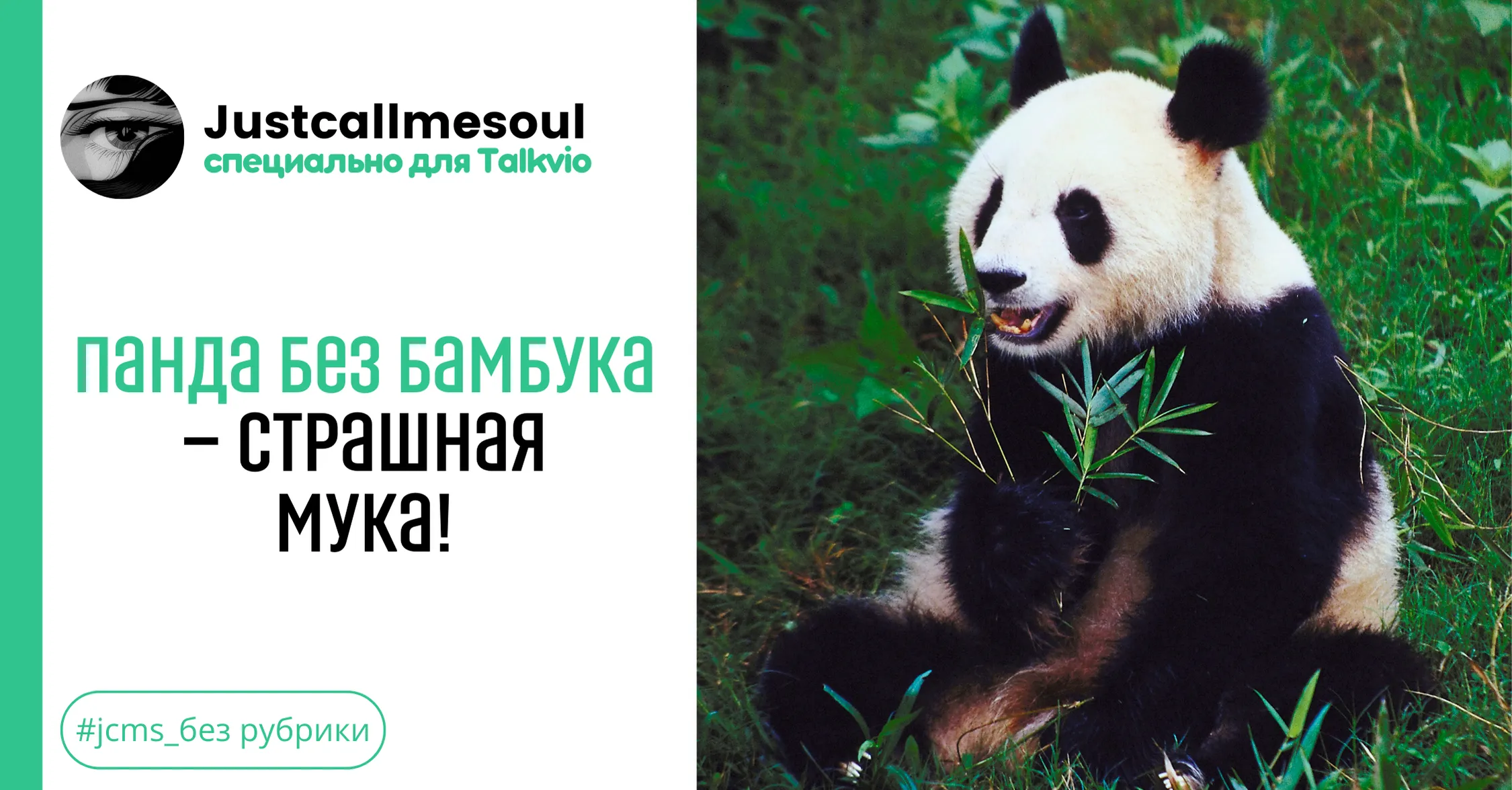 Панда без бамбука — страшная мука! #1