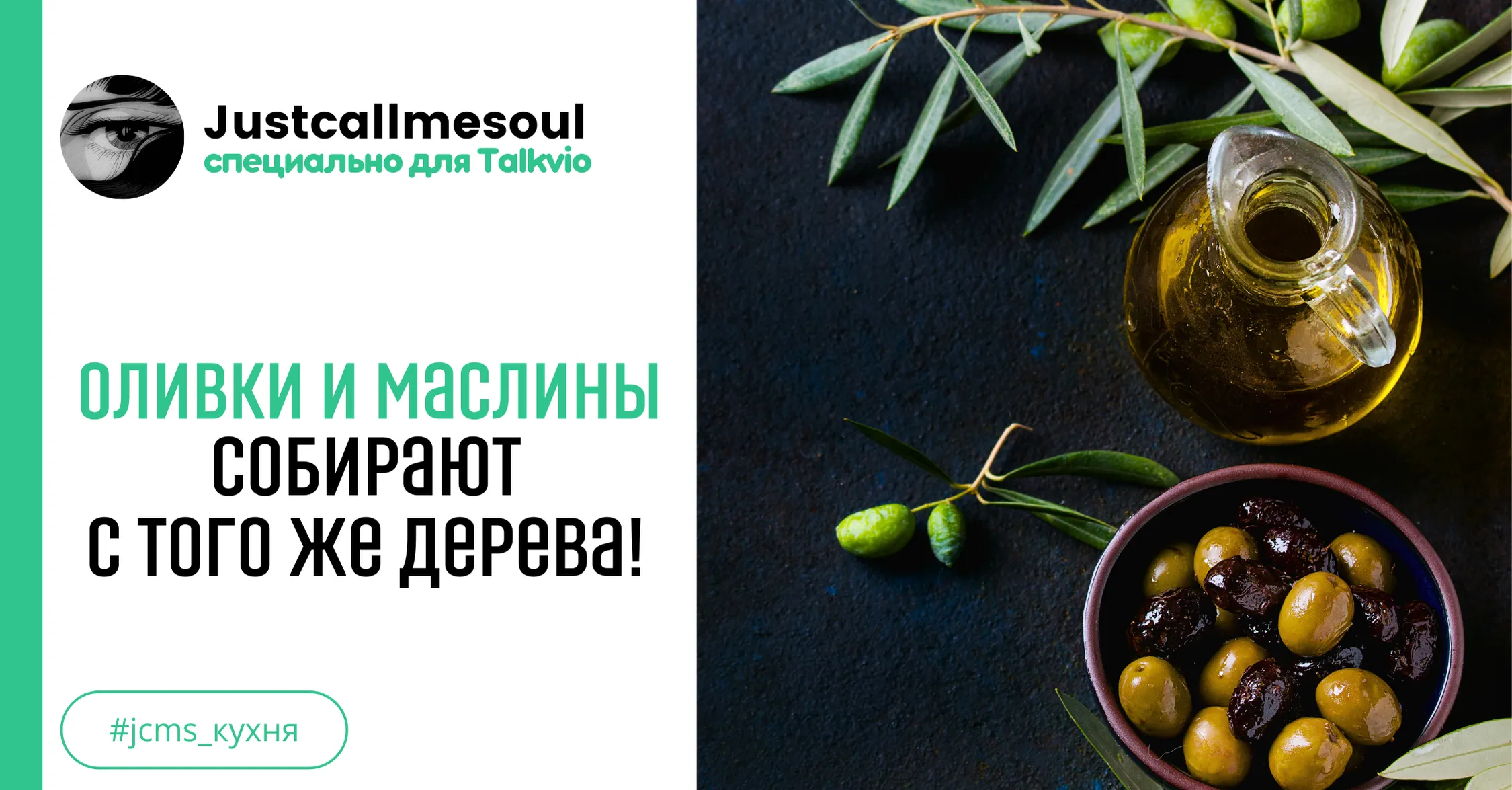 Оливки и маслины собирают с того же дерева! #1
