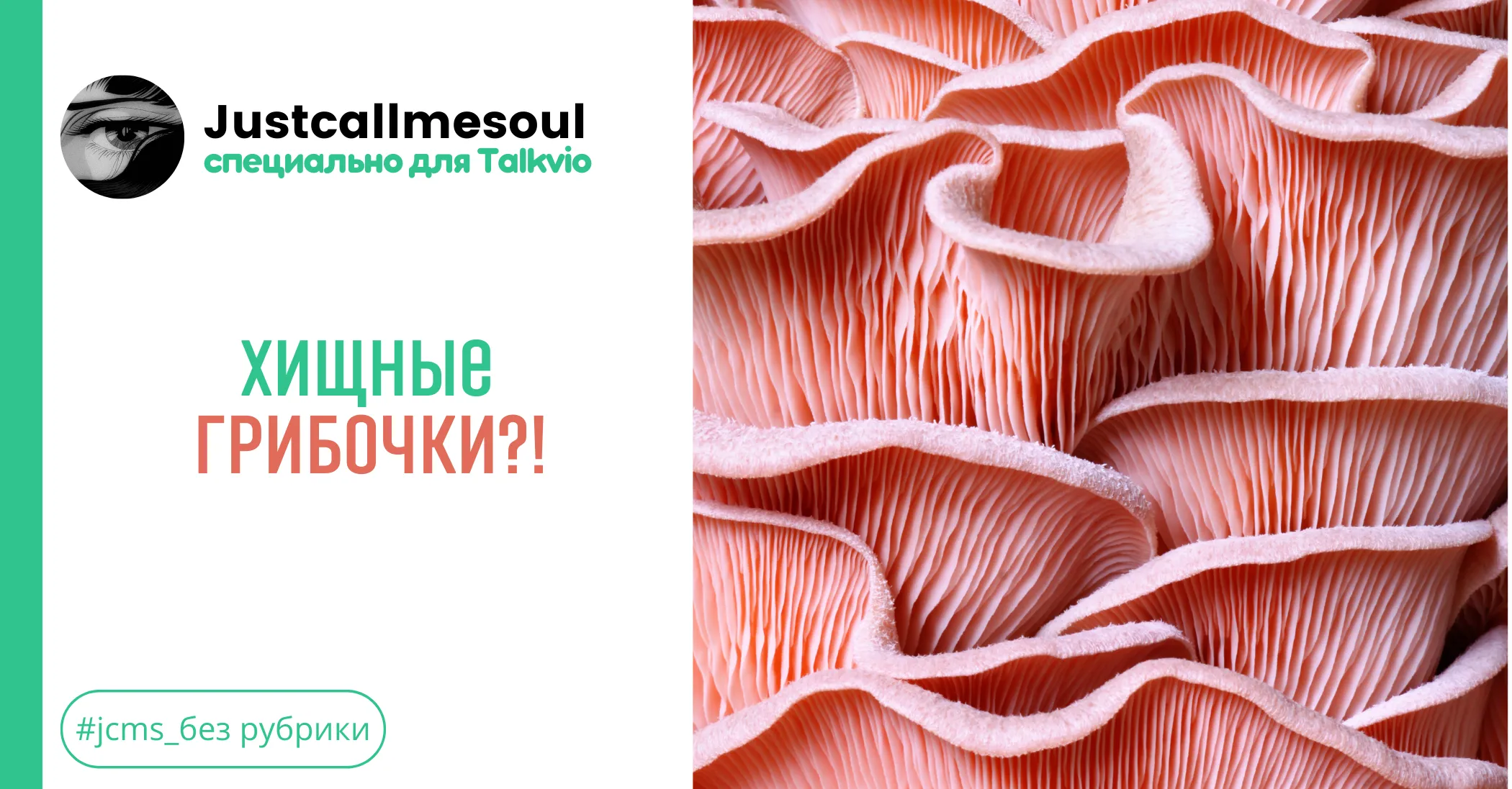 Хищные грибочки?! #1
