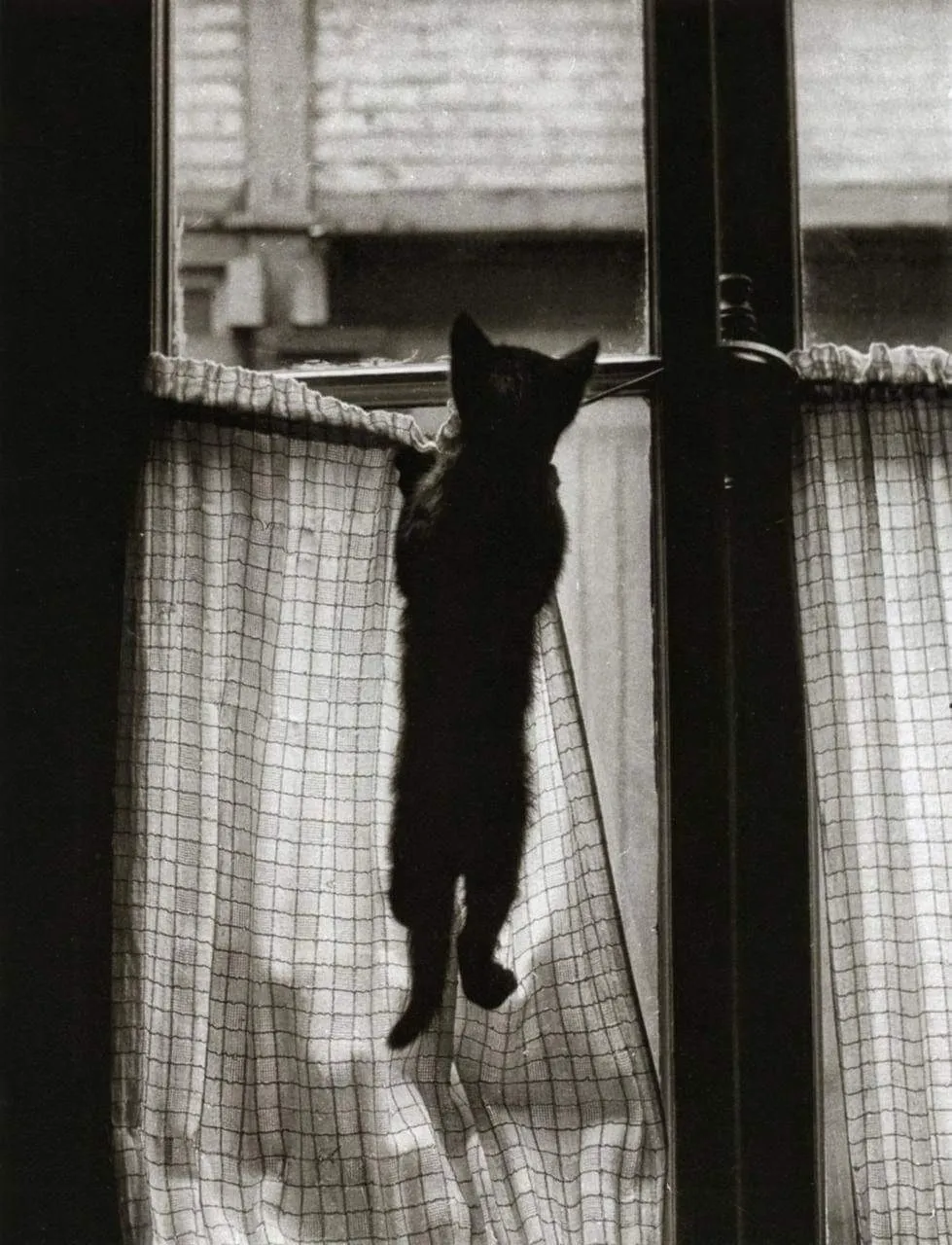 Фотоистория! #139 #2