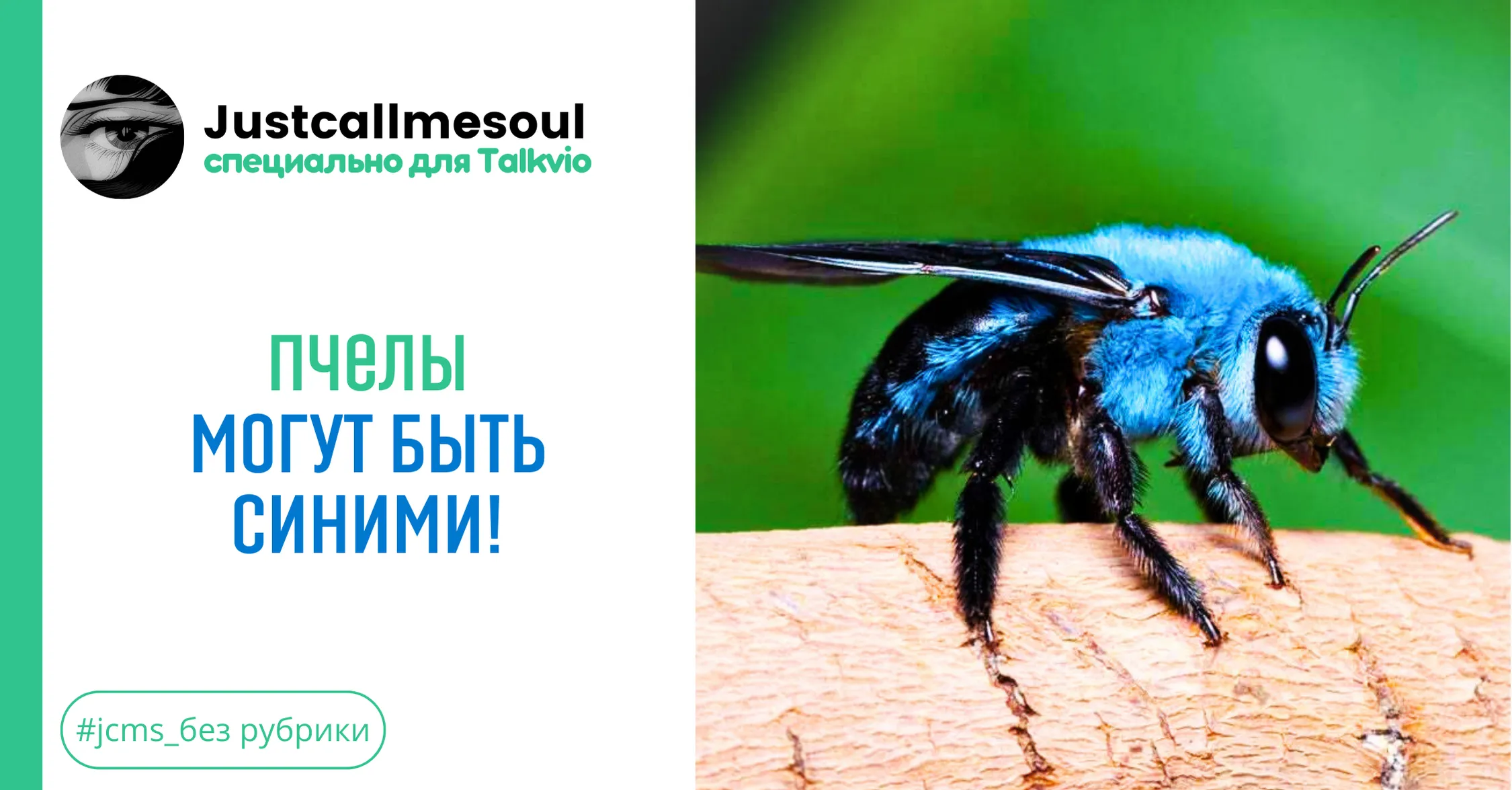 Пчелы могут быть синими! #1