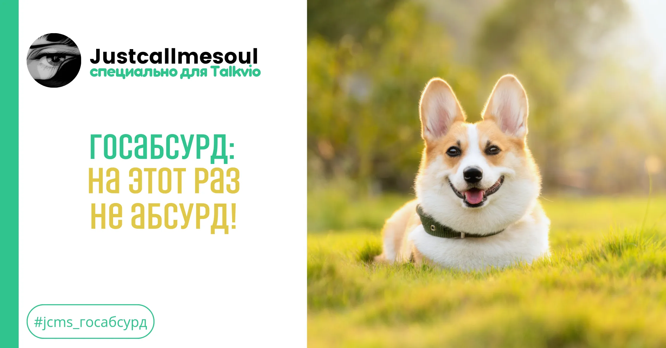 Госабсурд! На этот раз не абсурд! #1