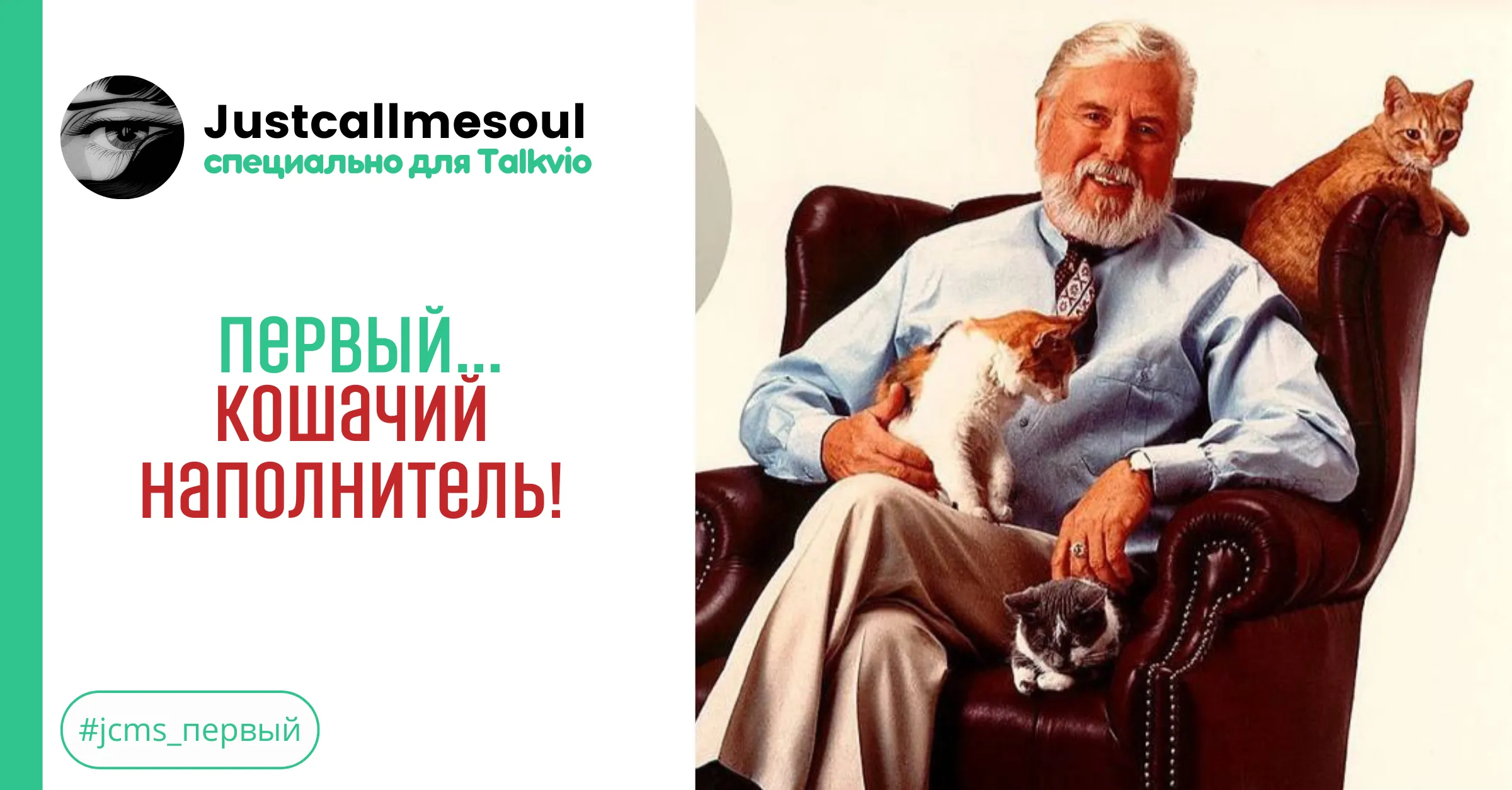 Первый...кошачий наполнитель! #1