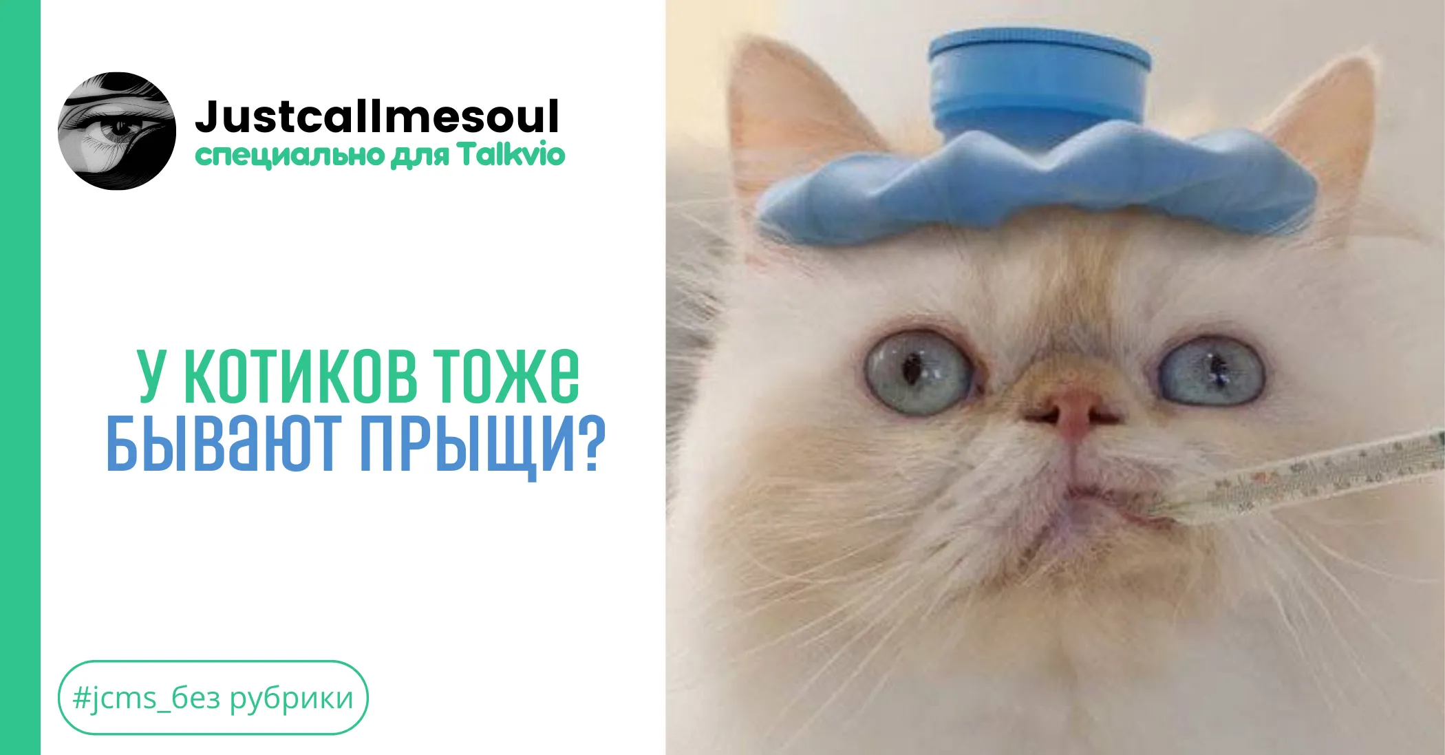 У котиков тоже бывают прыщи? #1