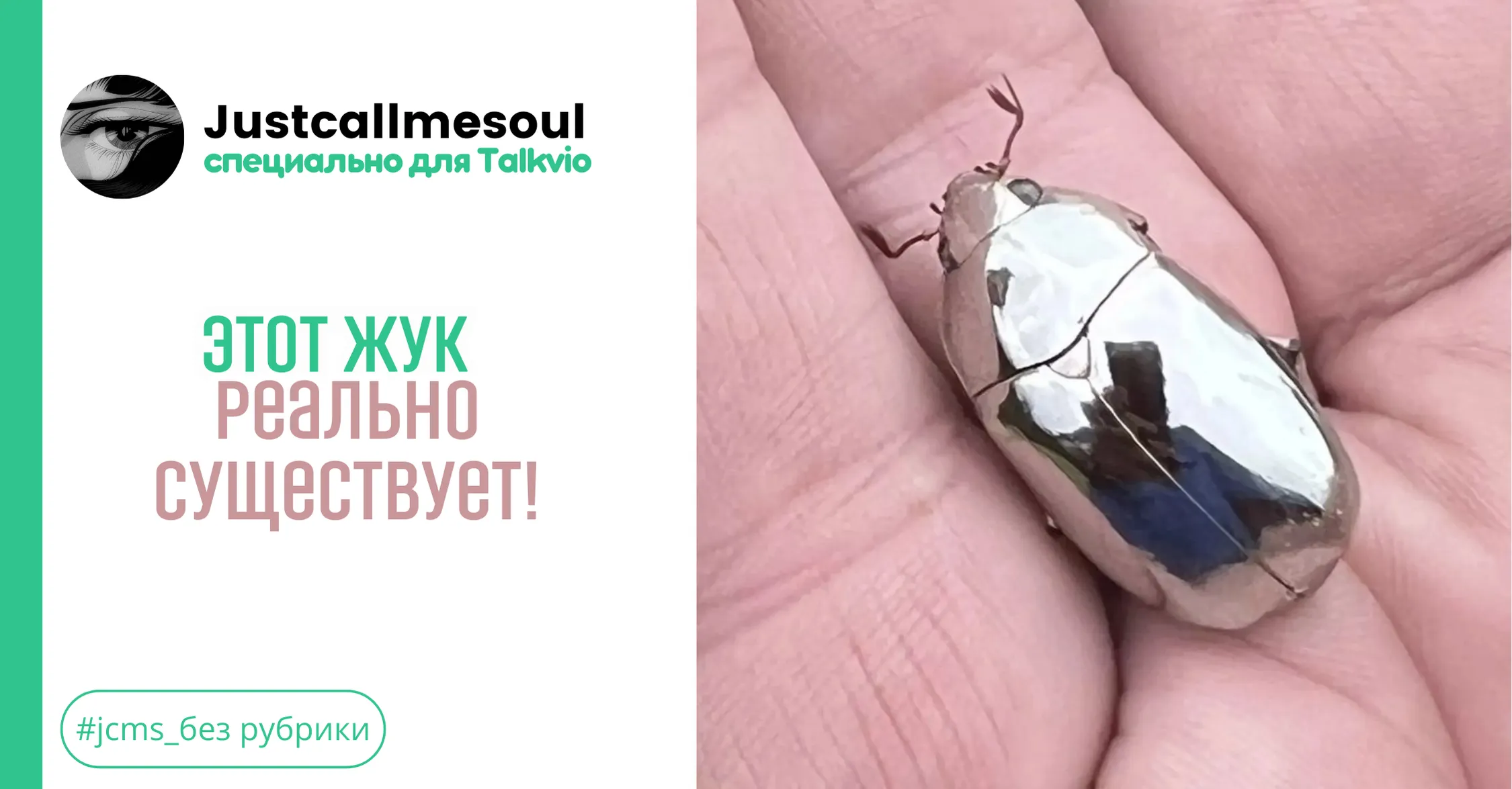 Этот жук реально существует! #1