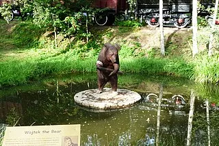 Шимбарк