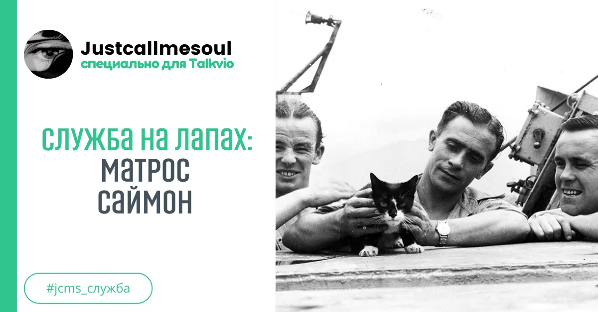 Служба на лапах: Матрос Саймон #1