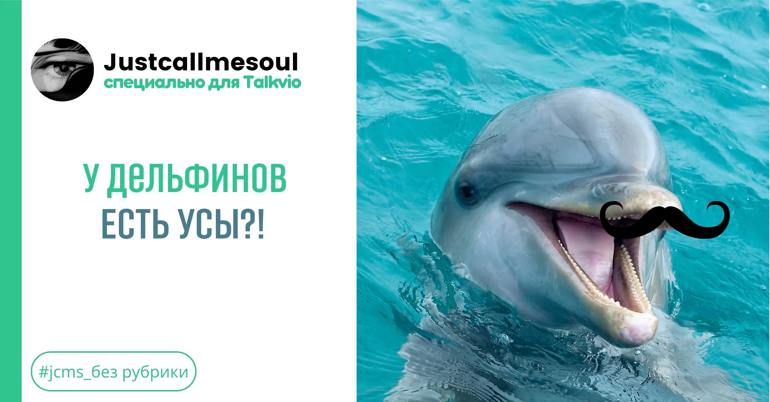У дельфинов есть усы?! #1
