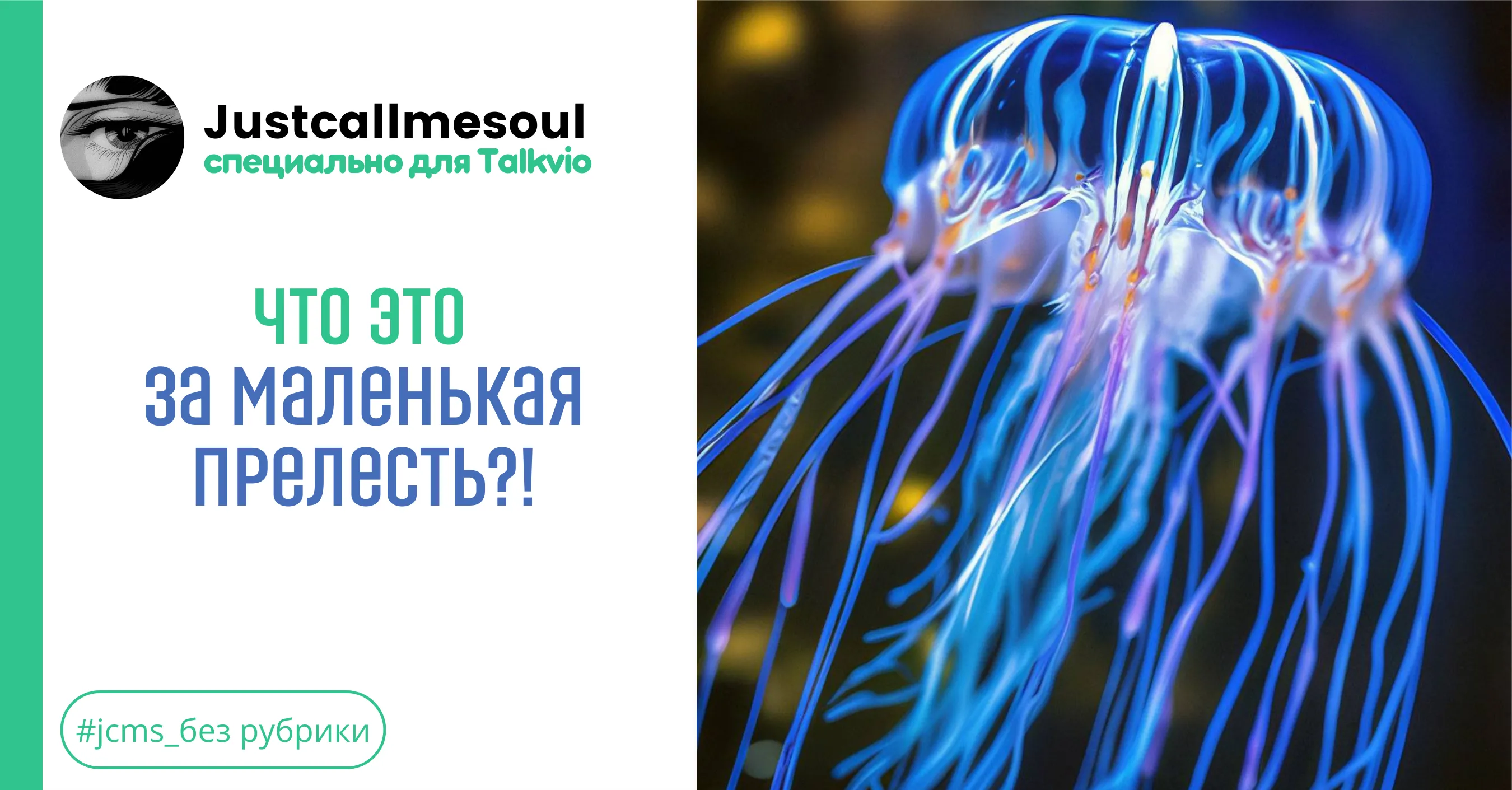 Что это за маленькая прелесть?! #1