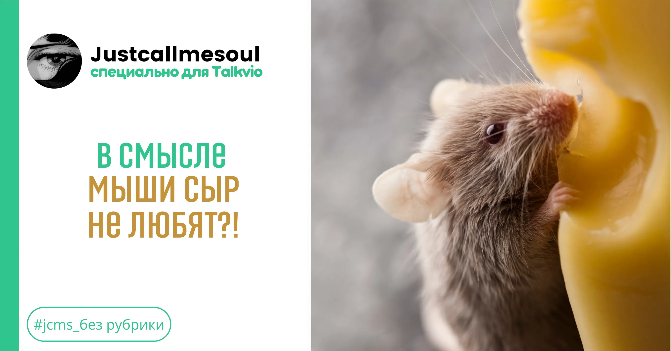 В смысле мыши сыр не любят?! #1
